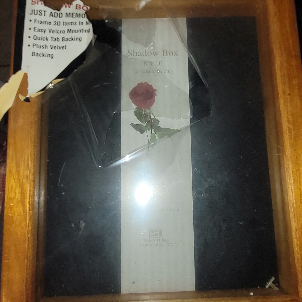 Shadow Box 8 x 10